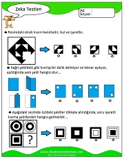 Zeka Gelişim Testleri